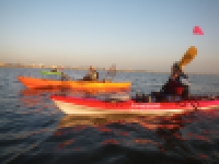 IMGP5604_1.JPG